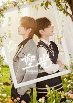 Постер к дораме Скульптурный свет