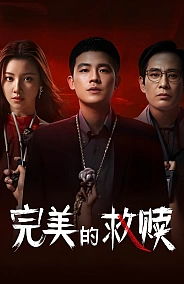 Постер к дораме Идеальный подозреваемый