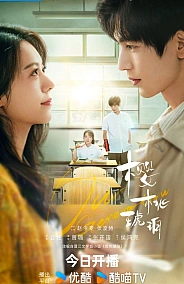 Постер к дораме Вишневый янтарь