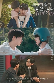 Постер к дораме Персиковая ловушка