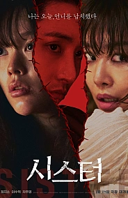 Постер к дораме Сестра