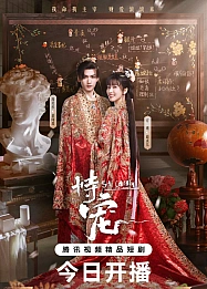 Постер к дораме Его фаворитка