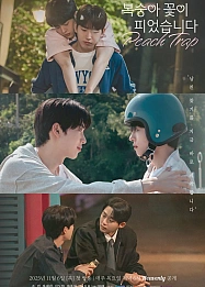 Постер к дораме Персиковая ловушка